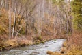 Autumn creek in the forest, Water flows on stones. Bubbles and foam on the water. natural background in selective focus