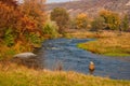 Autumn creek woods with yellow trees foliage and rocks Royalty Free Stock Photo