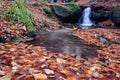 Autumn creek woods with yellow trees and rocks in forest mountain Royalty Free Stock Photo