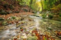 Autumn creek woods with yellow trees foliage and rocks in forest mountain Royalty Free Stock Photo