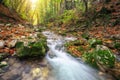 Autumn creek woods with yellow trees foliage and rocks in forest Royalty Free Stock Photo