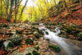 Autumn creek woods with yellow trees foliage and rocks in forest Royalty Free Stock Photo