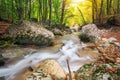 Autumn creek woods with yellow trees foliage and rocks in forest Royalty Free Stock Photo