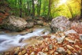 Autumn creek woods with yellow trees foliage and rocks in forest Royalty Free Stock Photo