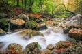 Autumn creek woods with yellow trees foliage and rocks in forest Royalty Free Stock Photo