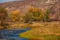 Autumn creek woods with yellow trees foliage Royalty Free Stock Photo