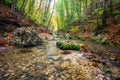 Autumn creek woods with yellow trees foliage and rocks in forest Royalty Free Stock Photo