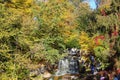 Forest waterfall. Waterfall, Autumn, Landscape, Colours. Color, colorful. Royalty Free Stock Photo