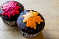 Autumn Cupcakes with leaf style Royalty Free Stock Photo