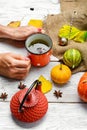 Autumn and cupwith tea Royalty Free Stock Photo