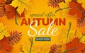 Autumn 3d sale banner, paper colorful tree leaves on yellow background. Autumnal design for fall season sale banner Royalty Free Stock Photo