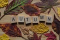 Autumn leaves and word, creative concept, changing seasons Royalty Free Stock Photo