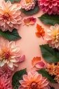 Autumn Dahlia Flower Design Royalty Free Stock Photo