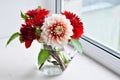 Autumn dahlias bouquet Royalty Free Stock Photo