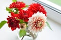 Autumn dahlias bouquet Royalty Free Stock Photo