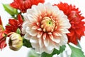 Autumn dahlias bouquet Royalty Free Stock Photo