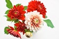 Autumn dahlias bouquet Royalty Free Stock Photo