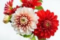 Autumn dahlias bouquet Royalty Free Stock Photo