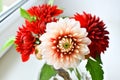 Autumn dahlias bouquet Royalty Free Stock Photo