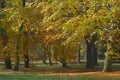 Autumn Dalovice park