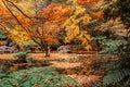 Autumn in Dandenong Ranges.