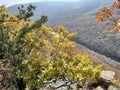 Autumn in the Dardanelles gorge in October. Russia, Primorsky Krai, Partizansky district