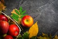 Autumn dark background or frame of fallen yellow leaves and ripe red apples. Frame for text or photo. Applicable for an