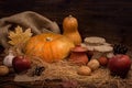 Autumn dark background with pumpkins, red apple, garlic, cone, n