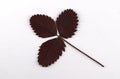 Autumn dark red leaf of wild strawberry (Latin Fragaria vesca Royalty Free Stock Photo