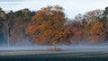 Autumn dawn in English park