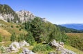 autumn day in the forest, mountainous terrain with dried vegetation, panorama of the area