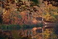 autumn day at the lake in elmshorn Royalty Free Stock Photo