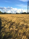 Autumn day landscape with rye wheat field, trees and electric power tranformer on the background under blue sky with white clouds Royalty Free Stock Photo