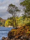 Autumn day at Loch Katrine Royalty Free Stock Photo