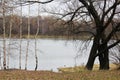 Autumn day in a Moscow park, Russia Royalty Free Stock Photo