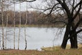 Autumn day in a Moscow park, Russia Royalty Free Stock Photo