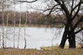 Autumn day in a Moscow park, Russia Royalty Free Stock Photo