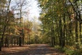 Autumn day in the park Royalty Free Stock Photo