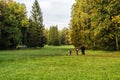 Autumn day in the Park Pavlovca