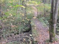 An autumn day in the park, stones, fallen leaves and an old bridge, trees