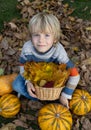 autumn day, pumpkins lie in the yard on dry leaves. among them sits a cute blond boy 6-7 years old