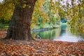 Autumn day in St. James park in London, United Kingdom Royalty Free Stock Photo