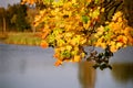 Autumn day at waterfront 11700 Royalty Free Stock Photo