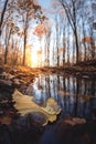 Autumn day. Yellow orange maple leaf floating in lake. Vibrant color of fall season of nature. Calm forest park. Reflection of Royalty Free Stock Photo