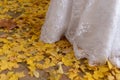 Autumn days in stock wedding Royalty Free Stock Photo