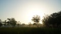 Autumn deciduous dawn at forest. Sunrays view from trees in countryside India. Silence dawn with sunbeams Royalty Free Stock Photo