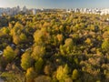 Autumn deciduous forest near a Zelenograd, Russia Royalty Free Stock Photo