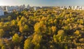 Autumn deciduous forest near a Zelenograd, Russia Royalty Free Stock Photo