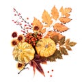 Autumn Decor of Leaves, Berries, Flowers and Pumpkins
