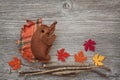 Autumn decoration Royalty Free Stock Photo